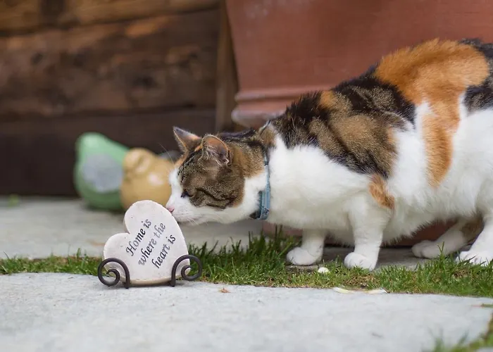 Romantica Hotel Zermatt