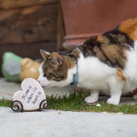 Romantica Hotel Zermatt
